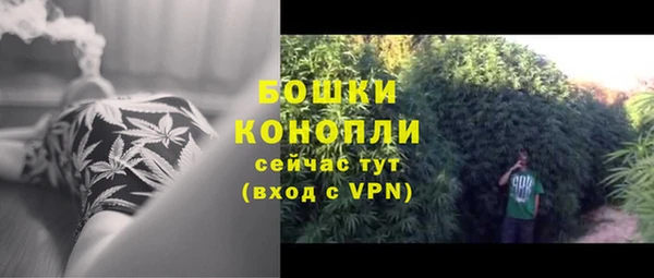 винт Мегион