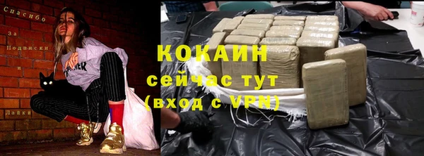 винт Мегион